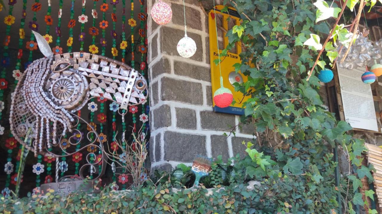 Criatividade Na Serra Leilighet Petrópolis Eksteriør bilde